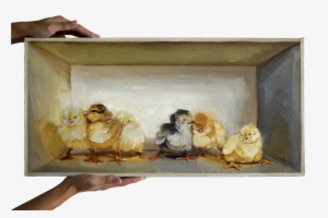 Chicks In A Box - Sheep