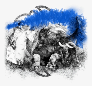 And Some Exciting New Signature Cocktails All Perfectly - Siamais