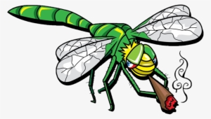 Jb Dragonfly Transparent - Blunt