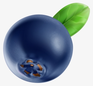 Blueberry Clipart