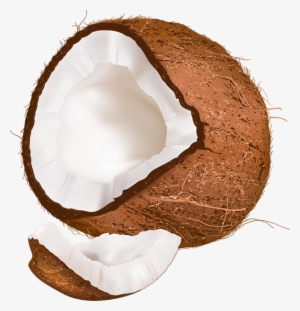 Tubes Fruits / Légumes - Ananas Noix De Coco