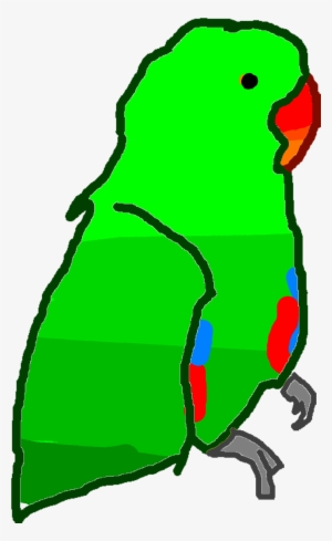 Ugly Parrot - Budgie