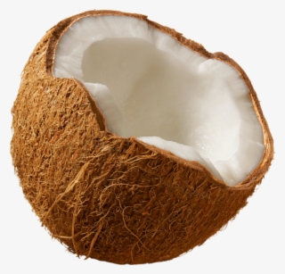 Free Png Coconut Png Images Transparent - Free Pictures Of Coconut