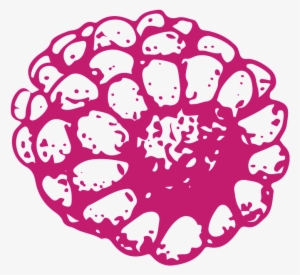 Hand Drawn Corn Transparent Vegetables - Vegetable