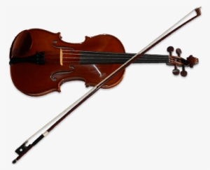 String Instruments & Music Lessons
