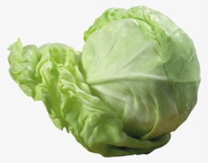 Cabbage Png Image - Cabbage Transparent Background