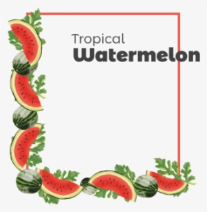 Decorative Watermelon Frame, Decorative, Frame, Watermelon - Portable Network Graphics