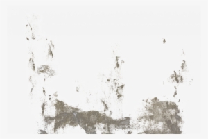 Parent Directory - Sketch