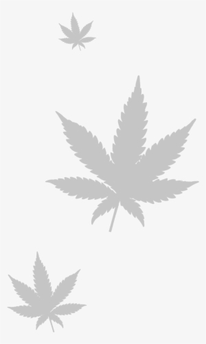 Marijuana Leaf Png - Cannabis