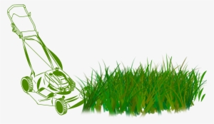 Lawn Care Services - Lawn Mower