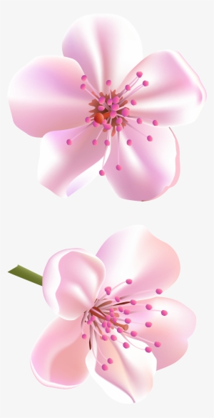Spring Pink Tree Flowers Png Clipart - Png Clipart Beautiful Flowers Png