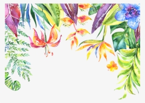 Tropical Flower Border Png Svg Stock - Iphone Walpapers Bible Verses