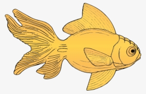 Goldfish Svg Clip Arts 600 X 384 Px