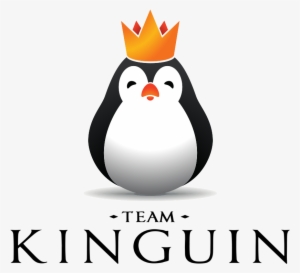 Team Kinguinlogo Square - Team Kinguin Logo Png