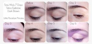 The Tip Is Very Fine, Allowing Me To Create Small Single - Eyebrow Tattoo After 3 Days