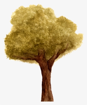 Back The Kickstarter Campaign Here - Photograph