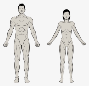 Bardock Drawing Tolg Art - Barechested