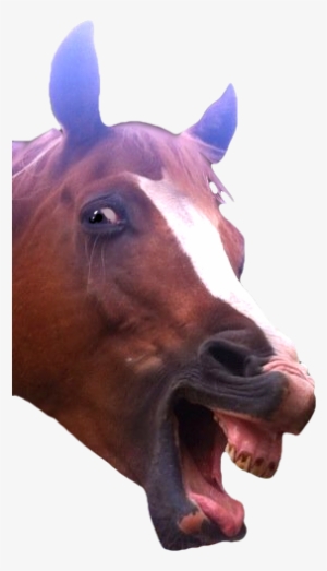 Transparent Funny Huge Freebie Download For Powerpoint - Funny Horse Transparent Background