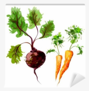 Set Of Vector Watercolor Vegetables - Vegetable