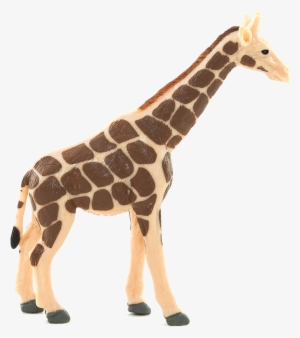 Download Png Image Report
