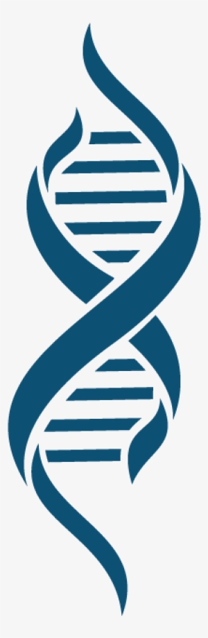 Dna Transparent Images Png - Dna Png
