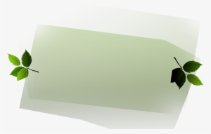 Toronto Property Design Piques And Valleys Landscaping - Common Kingfisher