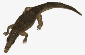 Kaprosuchus - February 23