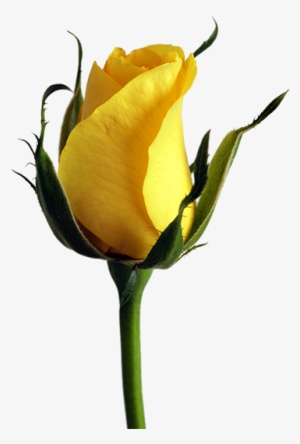 This Example Finds All Transparent Pixels In A Png - Life Is A One Time Offer Use