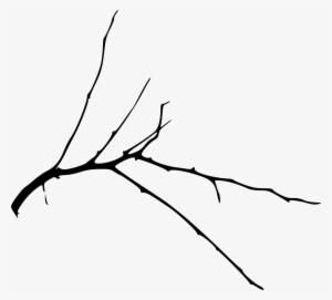 Free Png Simple Tree Branch Png Images Transparent - Portable Network Graphics