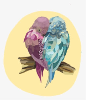 Birds 4 Mhoe - Lovebird