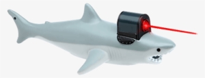 Shark With Laser Beam