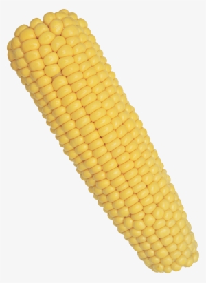 Corn Png Image Corn Png Image Stock Image - Corn On The Cob Png