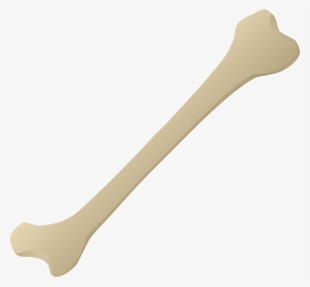 Wooden Dessert Spoon