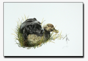 Watercolor Painting