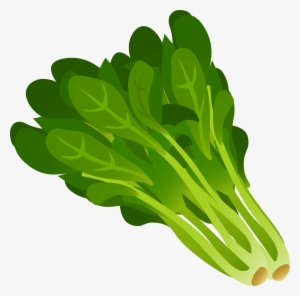 Spinach Icons Png Free And Downloads - Spinach Clip Art
