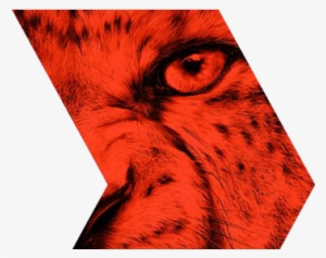 Nike Born Mercurial Png