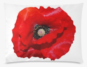 Poppy Flower Custom Zippered Pillow Cases 20"x26" - Silver Plated 18" Chain And Pendant Necklace