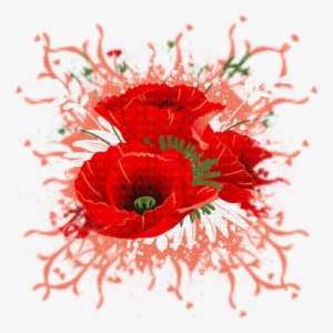 Coquelicot Deco Poppy Flower - Oriental Poppy