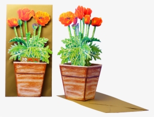 3d Flowers Card