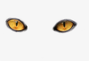 Eye Twelve - Cat Eyes No Background