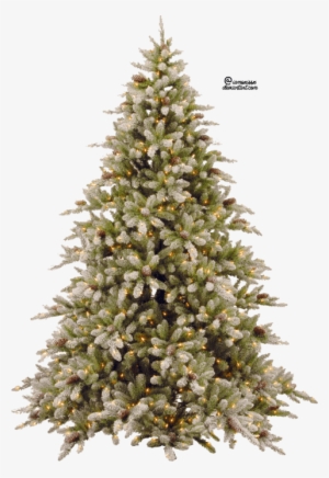 Free Png Fir-tree Png Pic Png Images Transparent - 7ft Pre Lit Snowy Christmas Tree