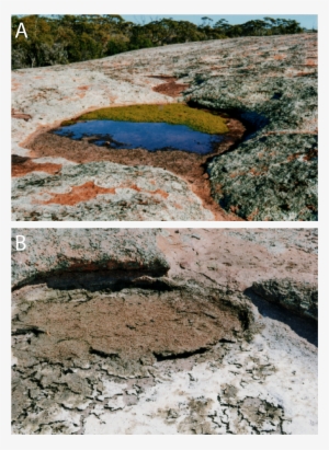 Url, Http - Football Pools