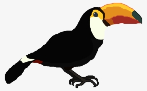 Toco Toucan - Toucan Png