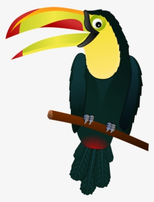 How To Set Use Toucan Clipart