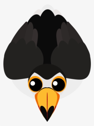 Toucan - Mope Io Toucan