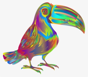 Big Image - Toucan
