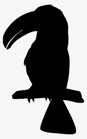 Download Png - Toucan