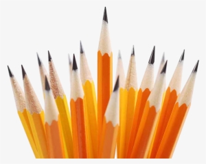 Trivia - Wooden Pencils