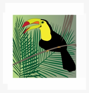 Toucan With Misplaced Foot, Apparently - Portable Network Graphics