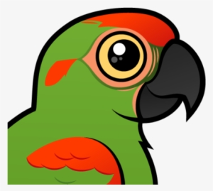Toucan Clipart Macaw - Blue Throated Macaw Cartoon Clip